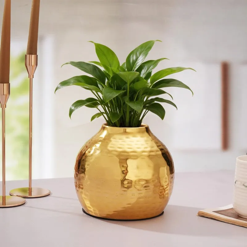 Sculptural Metal Vase -Gold media 9