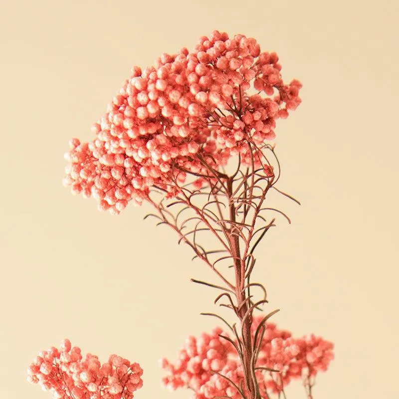 Artificial Rice Flower Stem (Light Pink) - Set Of Three media 5