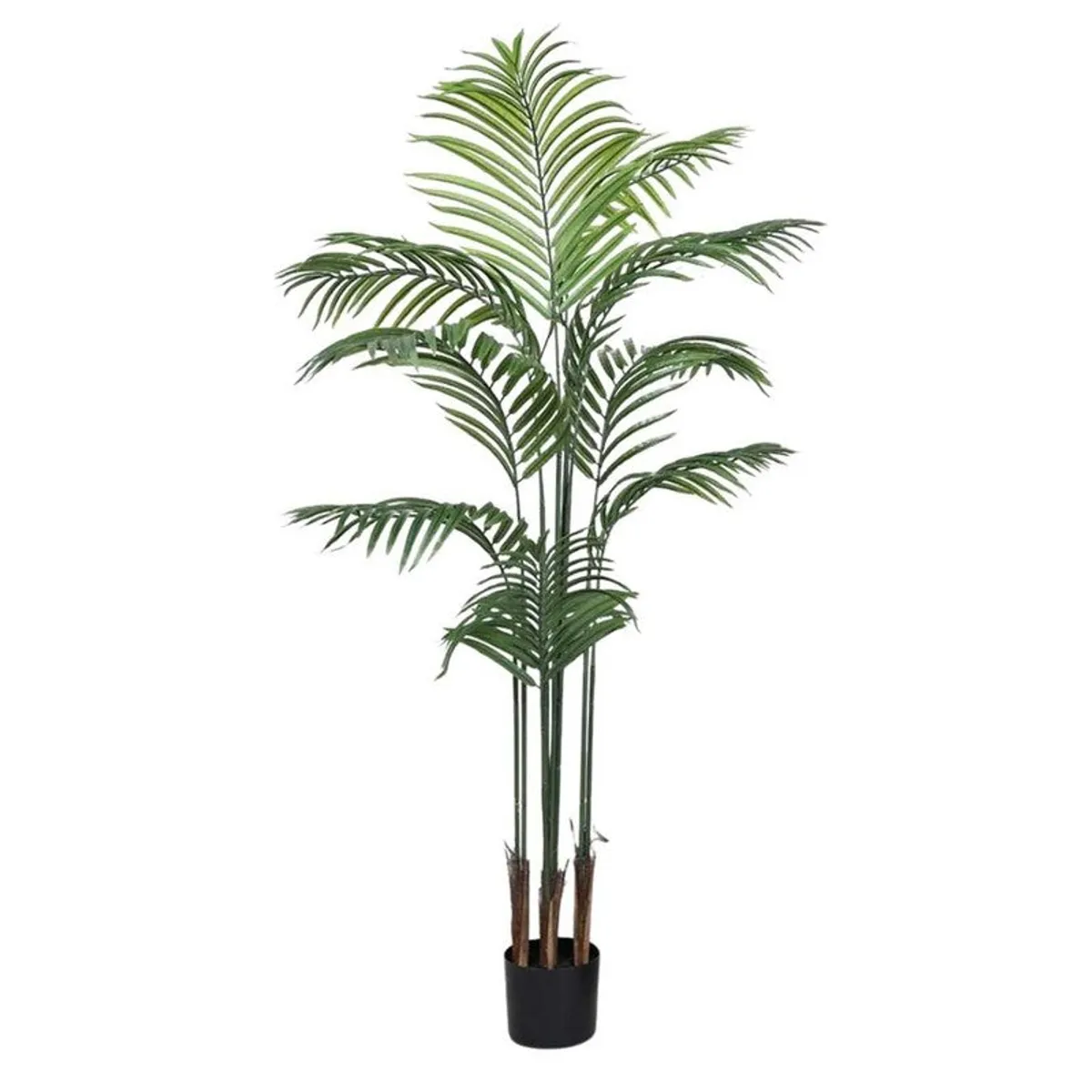 Full-height artificial Arica palm with spreading green fronds in a black pot