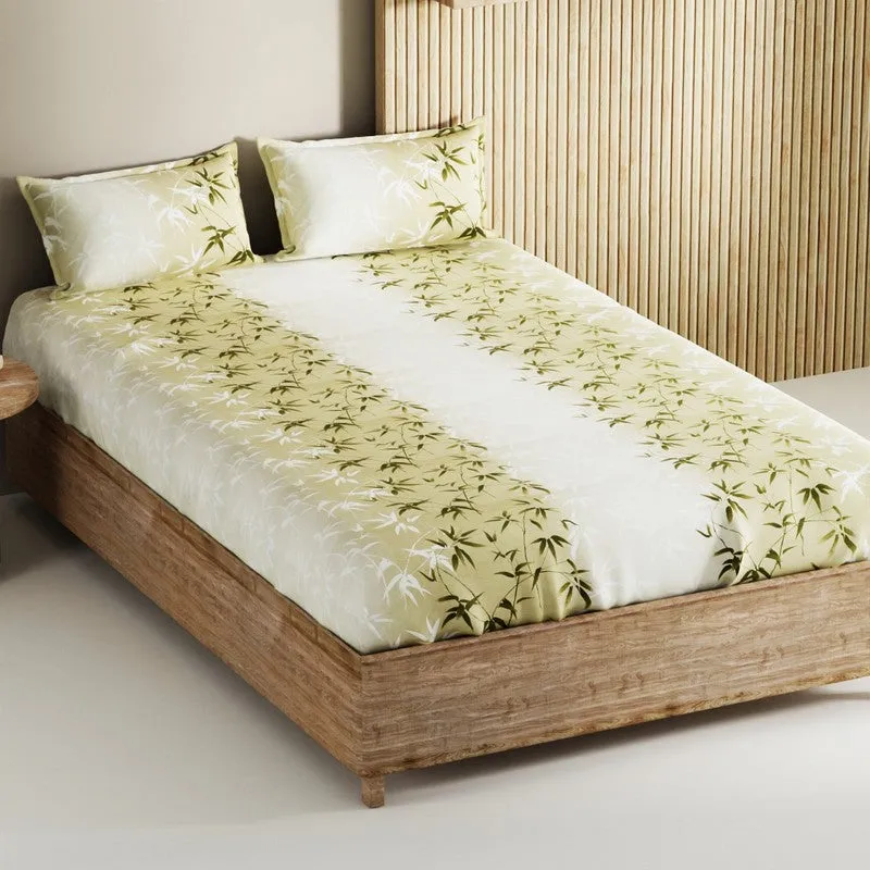 Vornel Cotton Bedsheet (Brown) - 144 TC media 1