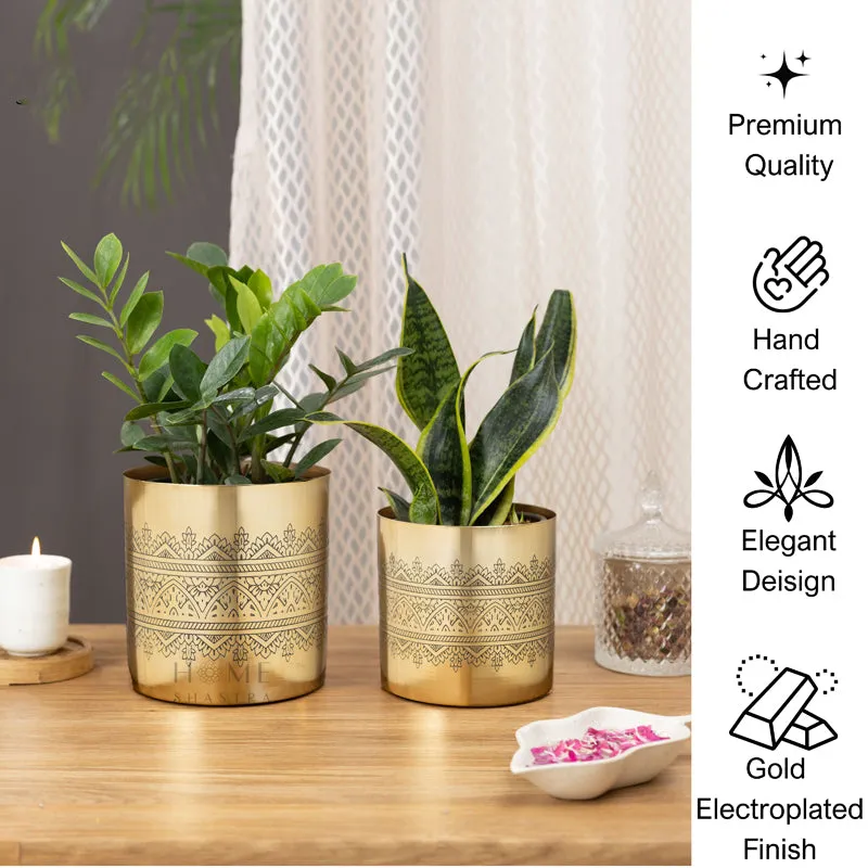 Vinyas Raaga Golden Planter - Set Of Two media 6