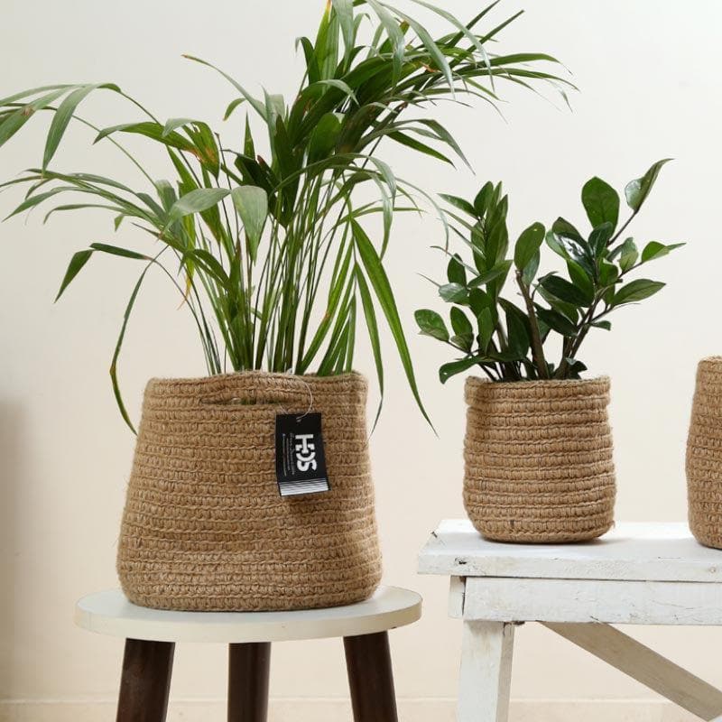 Botanical Beauties Jute Planter media 4