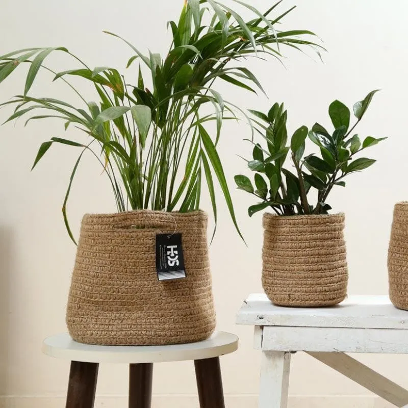 Botanical Beauties Jute Planter media 4