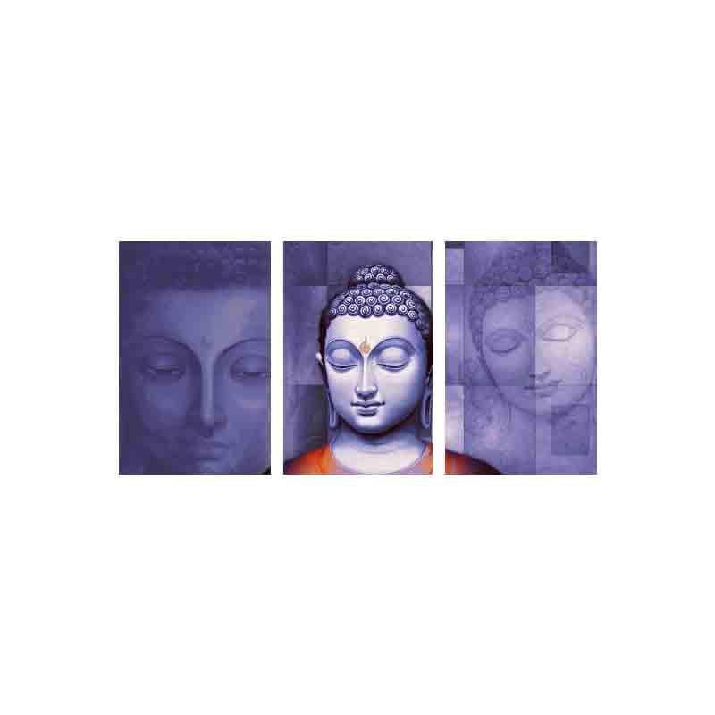 Peacemaker Poly Canvas Wall Art - Set of Three media 5