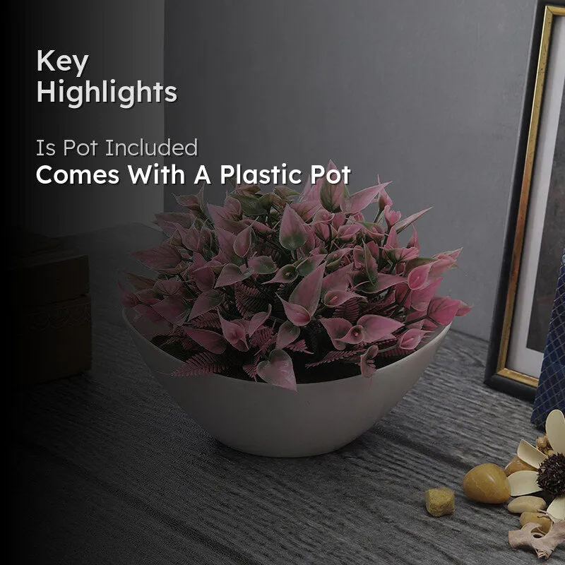 Harina Artificial Plant With Black Plastic Pot - Pink media 2