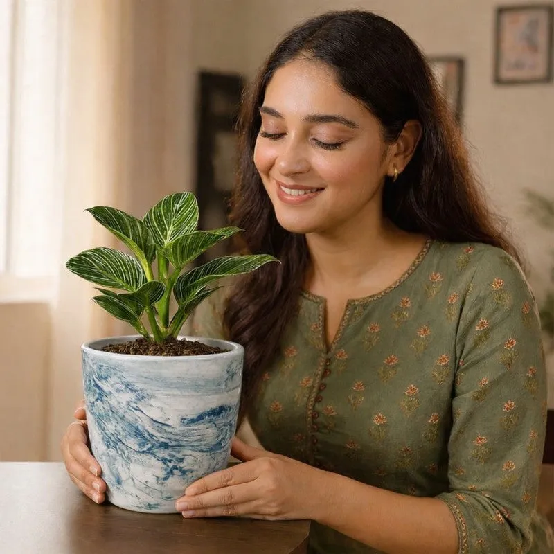 Coastal Swirl Ceramic Planter (White) - Set of Two media 6
