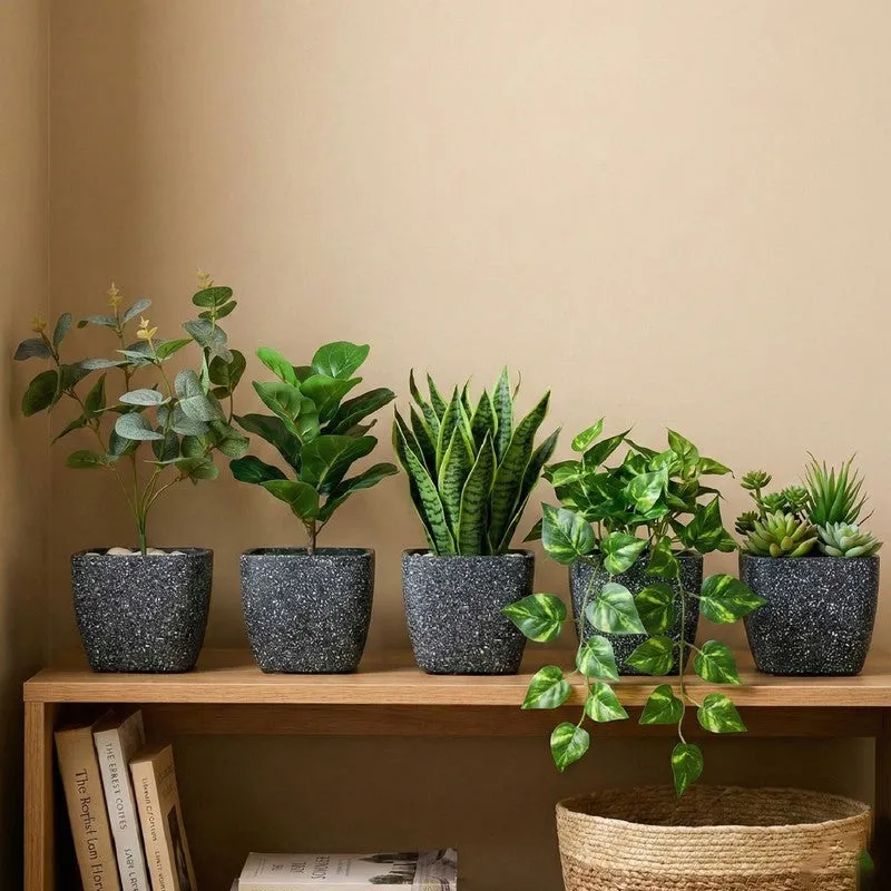 Monvia Garden Planter - Set Of Five media 1