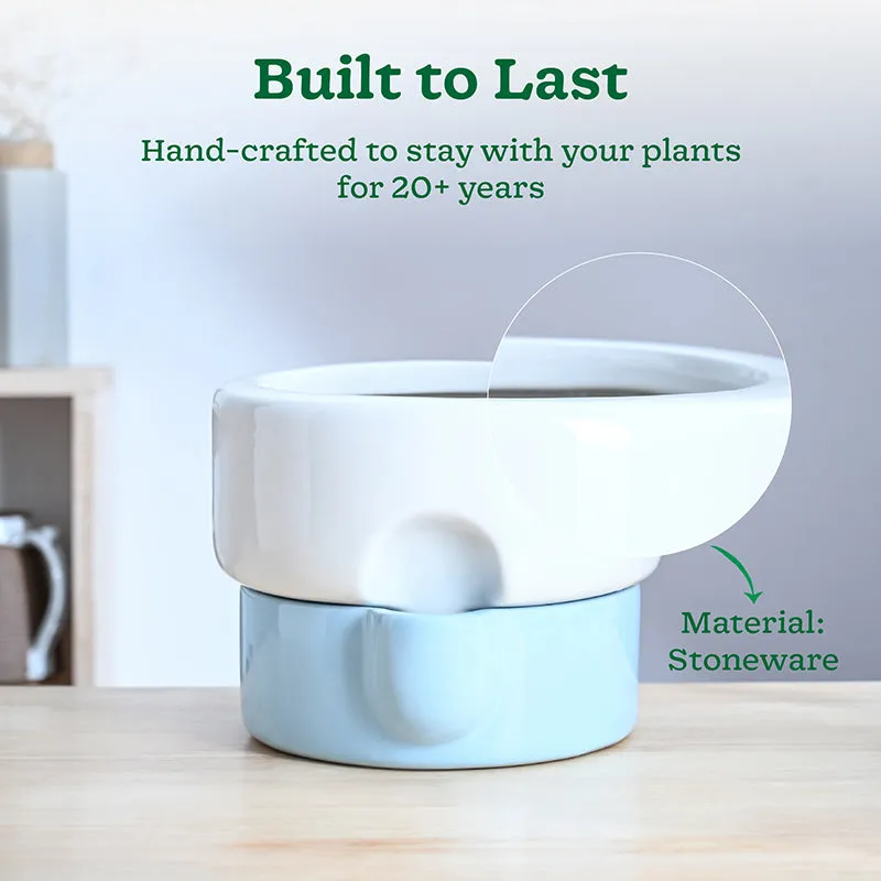 Ugaoo Lady Leafington Ceramic Planter - White & Blue media 3