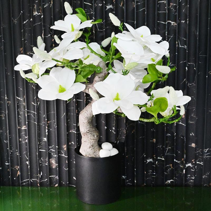 Magnira Artificial Mini Magnolia Tree With Black Plastic Pot (White) - 50 cm media 5