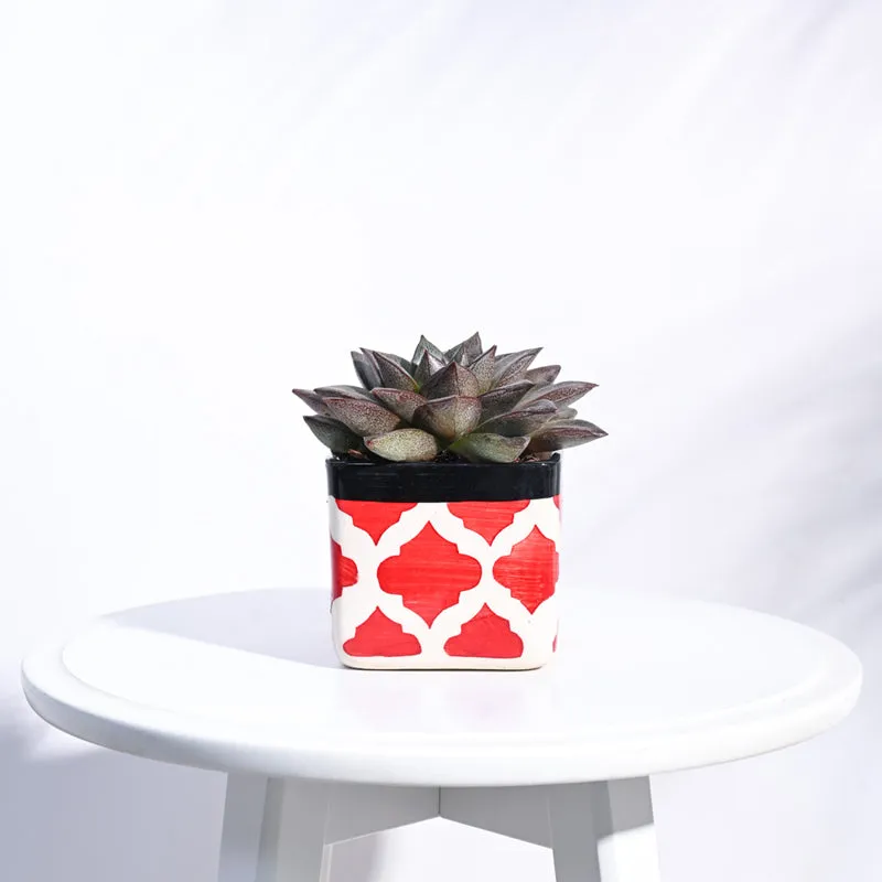 Ugaoo Square Rose Red Ceramic Pot media 3