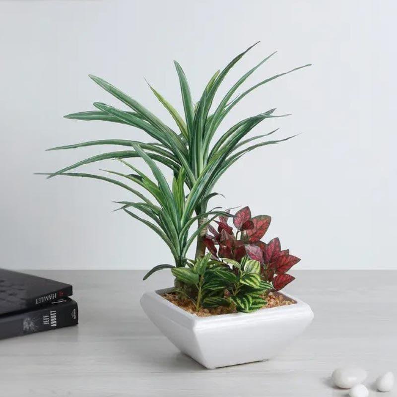 Faux Araceae Bonsai In Ceramic Pot - 34 cms