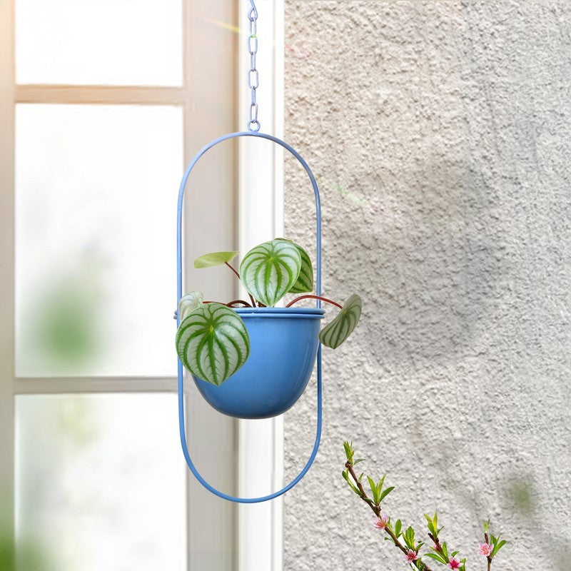 Premium Planters Balcony & Garden Essentials