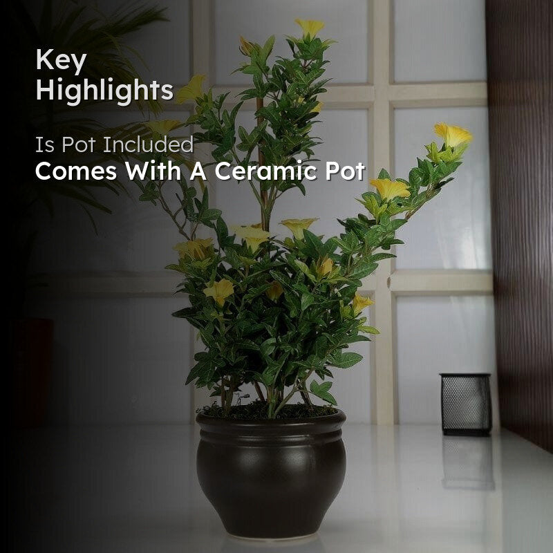 Faux Tall Morning Glory Bonsai In Ceramic Pot (50 cms) - Yellow & Green media 2