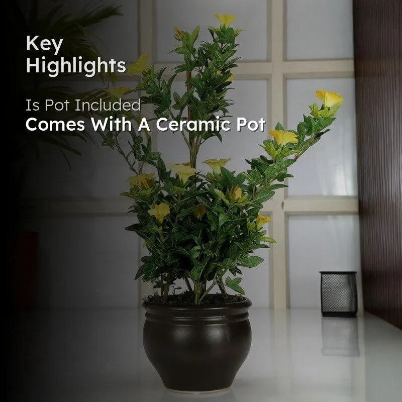 Faux Tall Morning Glory Bonsai In Ceramic Pot (50 cms) - Yellow & Green media 2