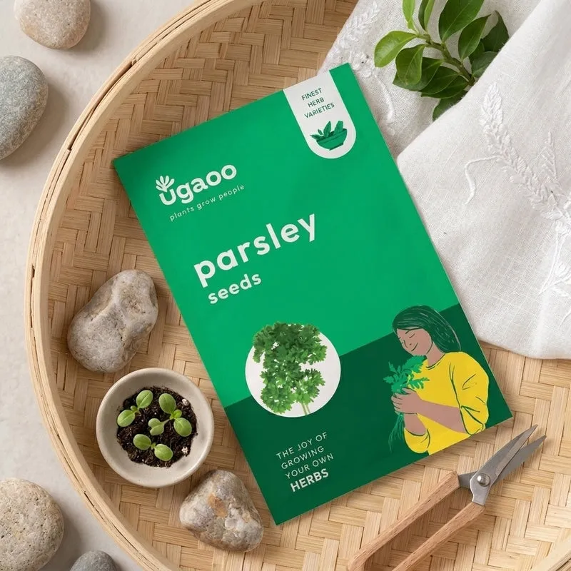 Ugaoo Parsley Seeds media 1