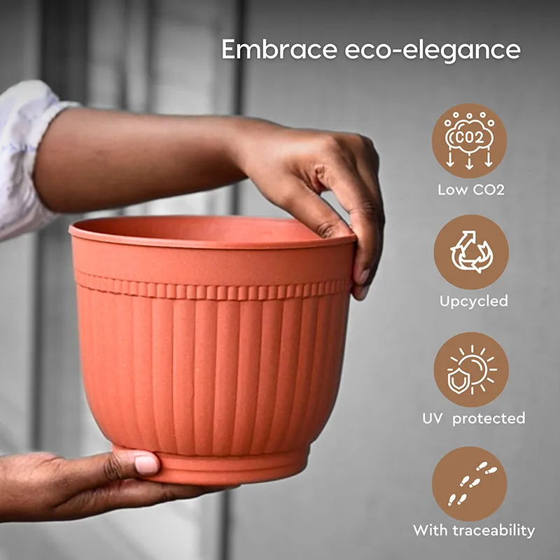 Vita Vessel Planter - Set Of Six media 5