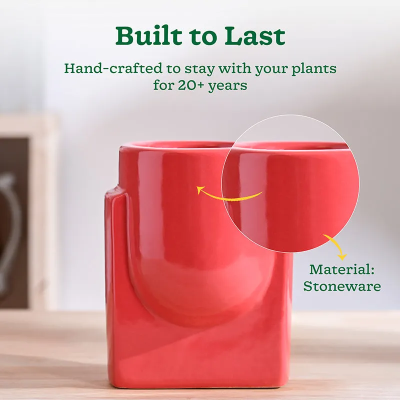 Ugaoo Minimalica Ceramic Planter - Red media 3