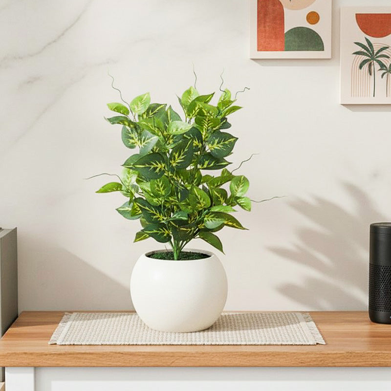 Evergreen Mirage Artificial Plant With Black Plastic Pot