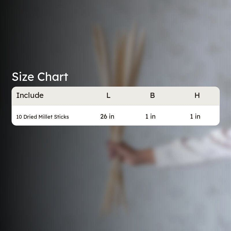 Siva Dried Millet Stick (White) - Set Of Ten media 5