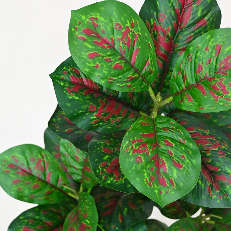 Faux Everlasting Aglaonema Plant With Black Plastic Pot - 95 cm (3.1 ft) media 4