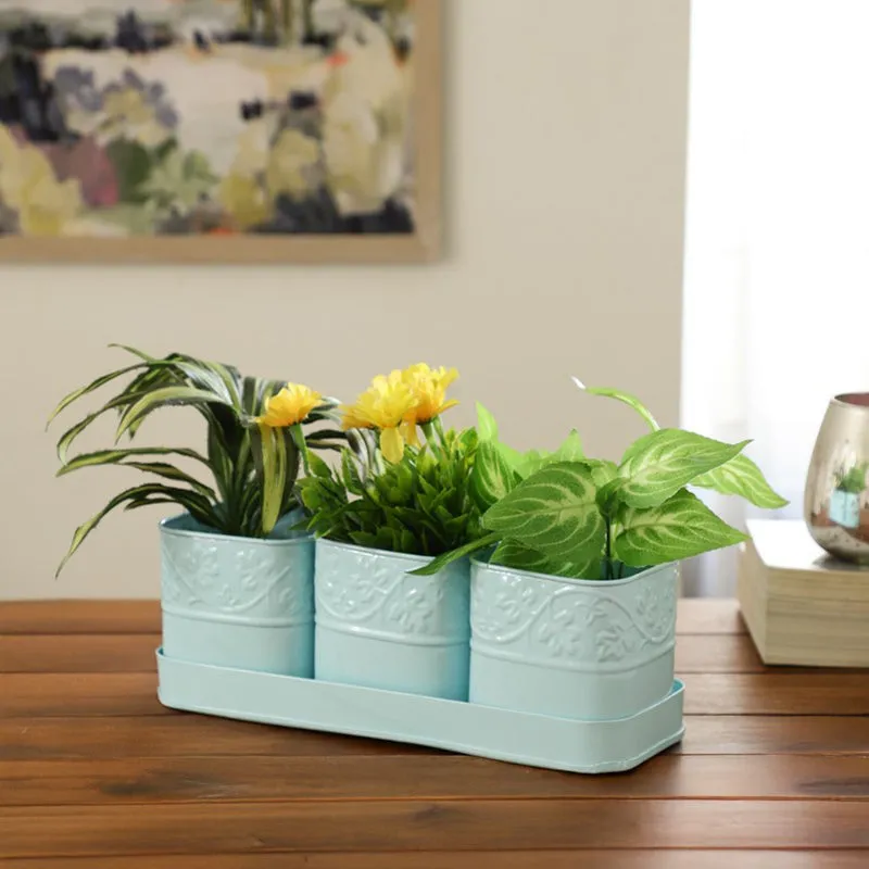 CanopyCup Planters with Tray - Blue media 3