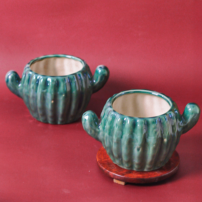 Cacti Fun Ceramic Planter media 3