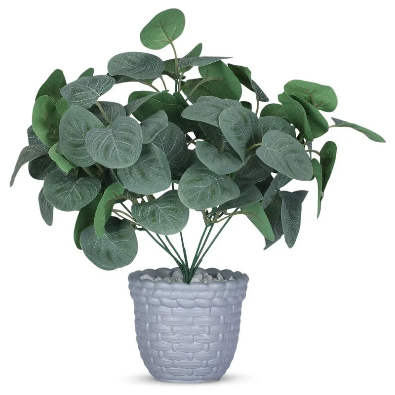 Foliyaj Artificial Green Eucalyptus Plant in Grey Pot media 5