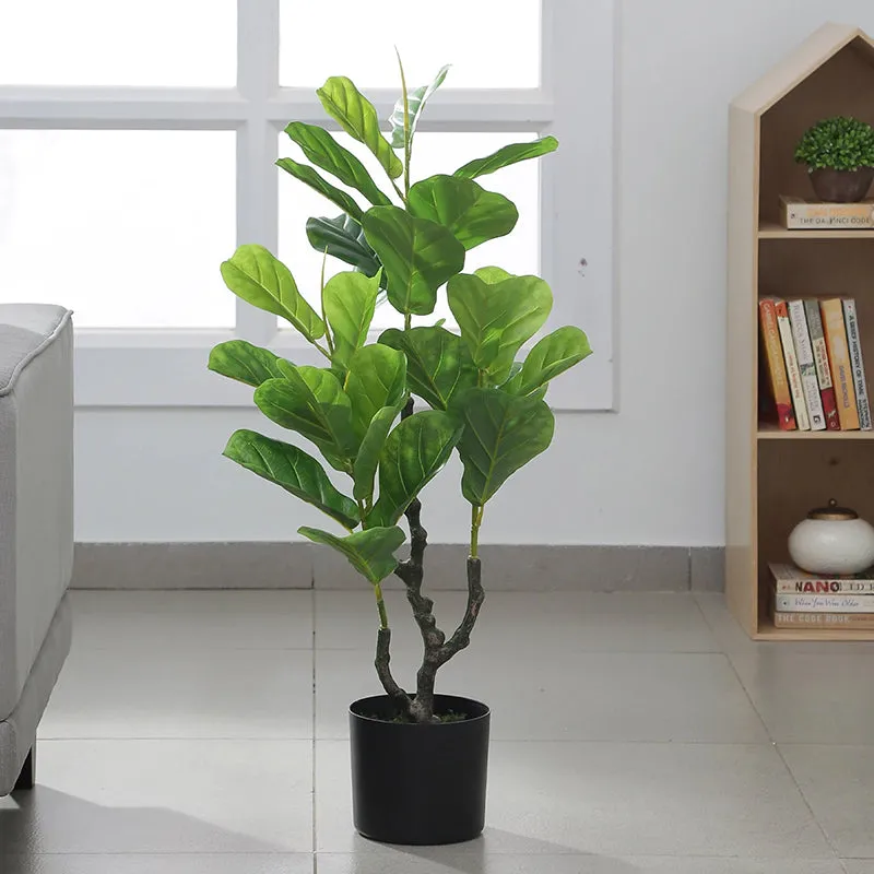 Fica Artificial Fiddle Fig With Black Plastic Pot - 3 Feet media 5