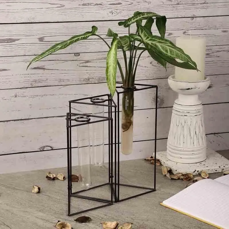Trigonometry Testube Planter media 1