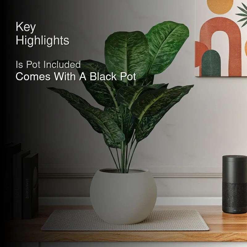 Faux Everlasting Dieffenbachia Plant With Black Plastic Pot - 63 cm (2.1 ft) media 2