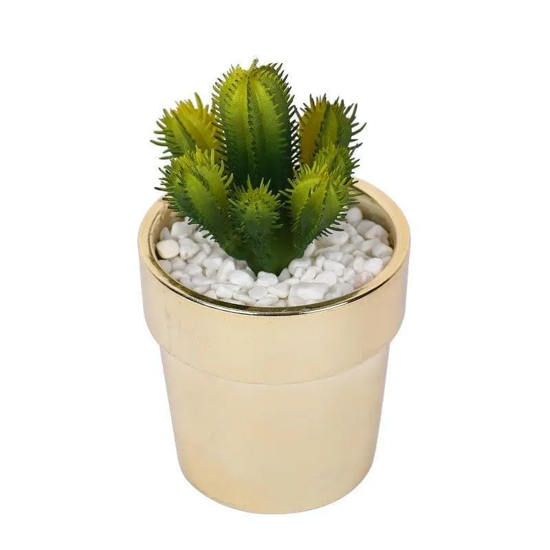 Faux Cacti In Ceramic Pot - 19 cms media 3