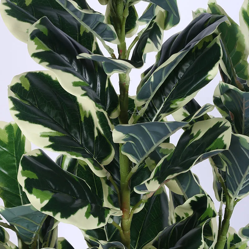 Folira Artificial Fiddle Fig With Black Plastic Pot - 5 Feet media 4