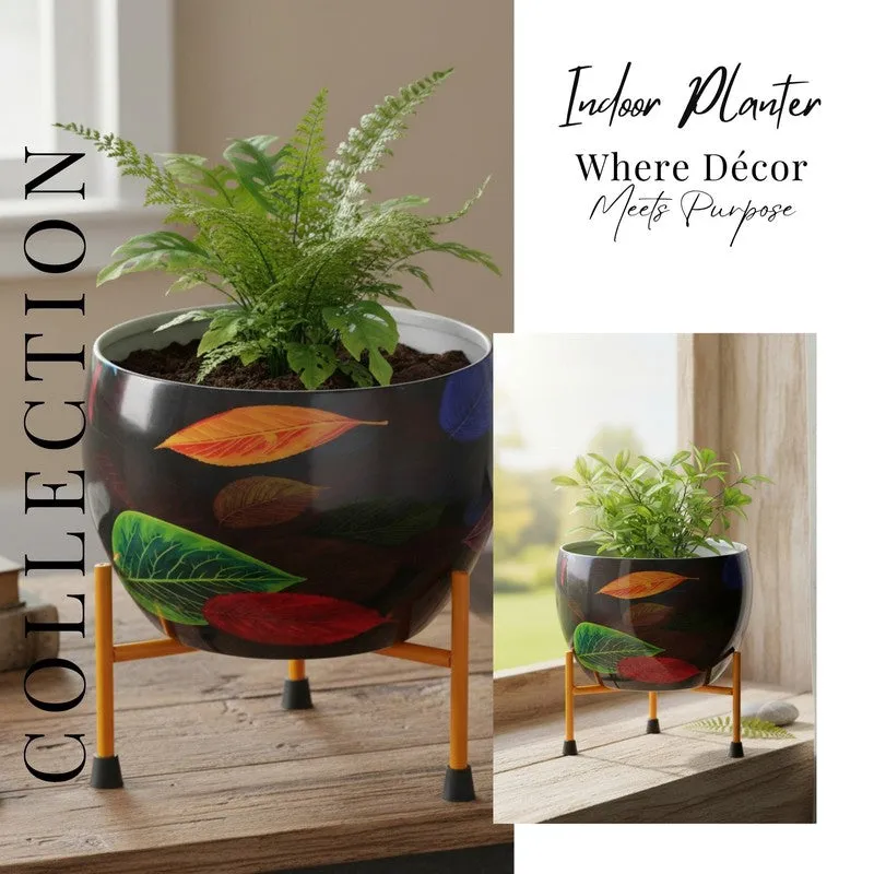 Garden Raga Pots & Planter media 6