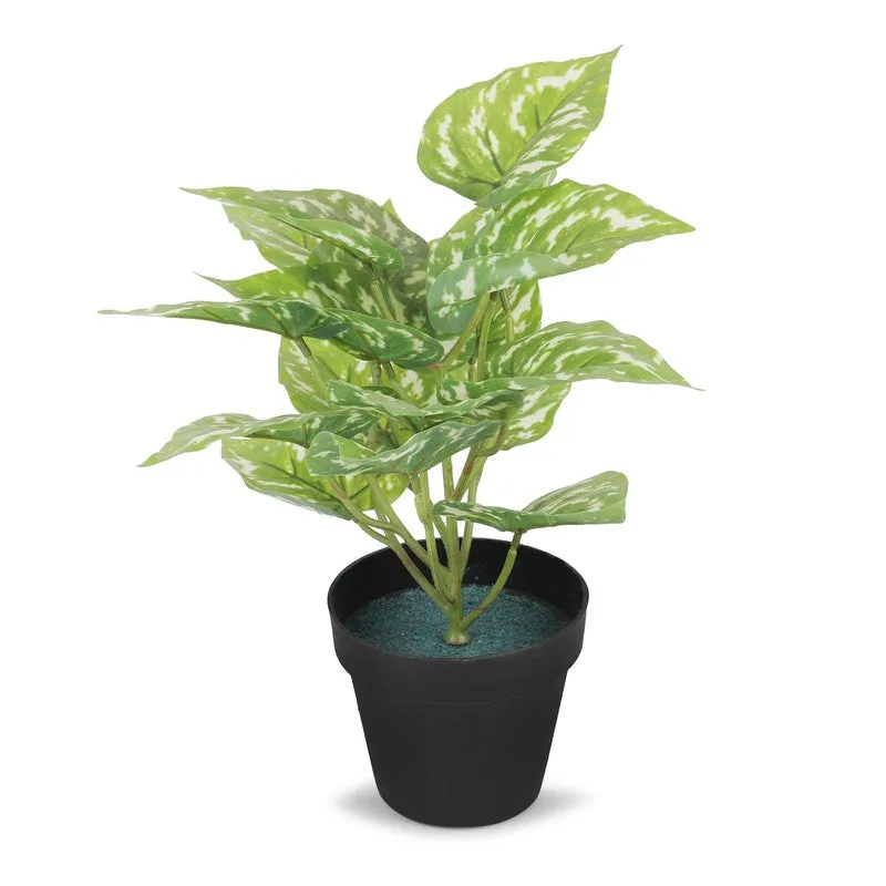 Neonix Money Artificial Plant With Plastic Pot - 1.2 Feet media 4