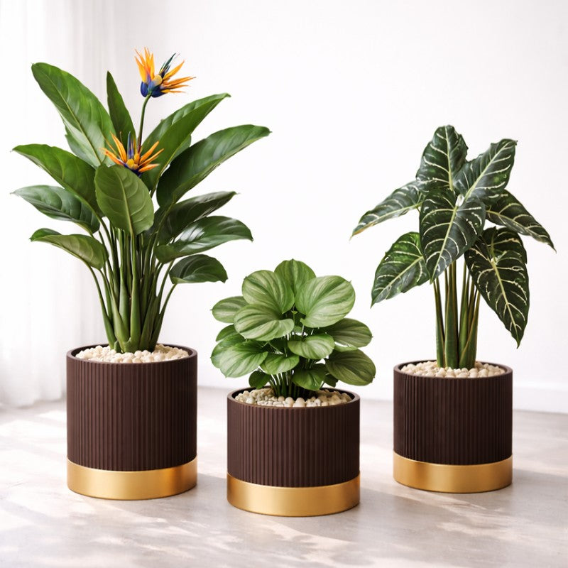Solterra Planters (Brown) - Set Of Three media 6