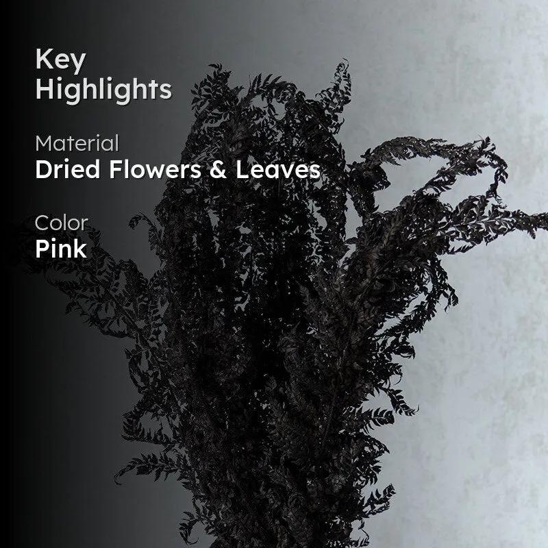 Zineeya Naturally Dried Bunch - Set Of Twelve media 2
