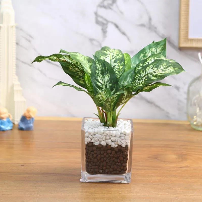 Faux Dieffenbachia Bonsai In Glass Pot - 27 cms media 1