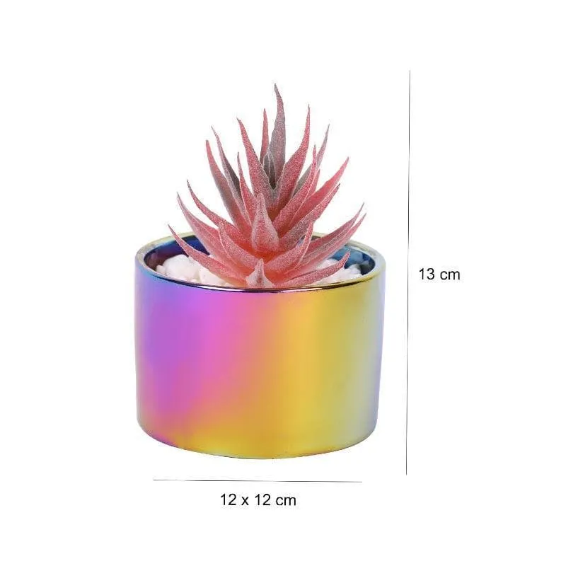 Faux Succulent In Ombre Pot - 11 cms media 4