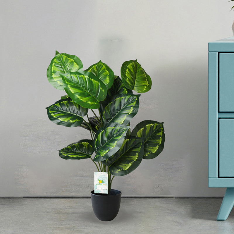Faux Everlasting Micans Philodendron Plant With Black Plastic Pot - 74 cm (2.4 ft) media 5