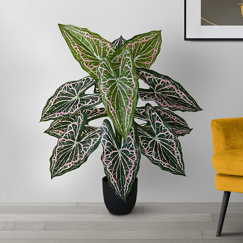 Faux Everlasting White Caladium Plant With Black Plastic Pot - 79 cm (2.6 ft) media 4