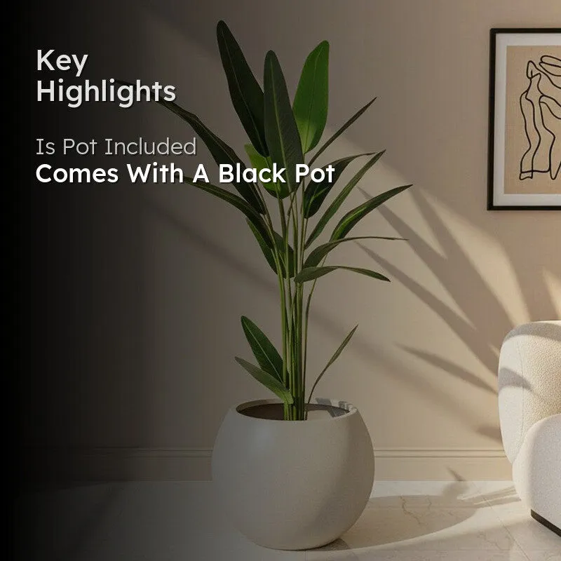 LioraLeaf Artificial Banana Plant With Black Plastic Pot - 4.1 Feet media 2