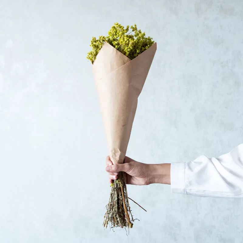 Gypso Glam Dried Flower Bunch - Yellow media 3