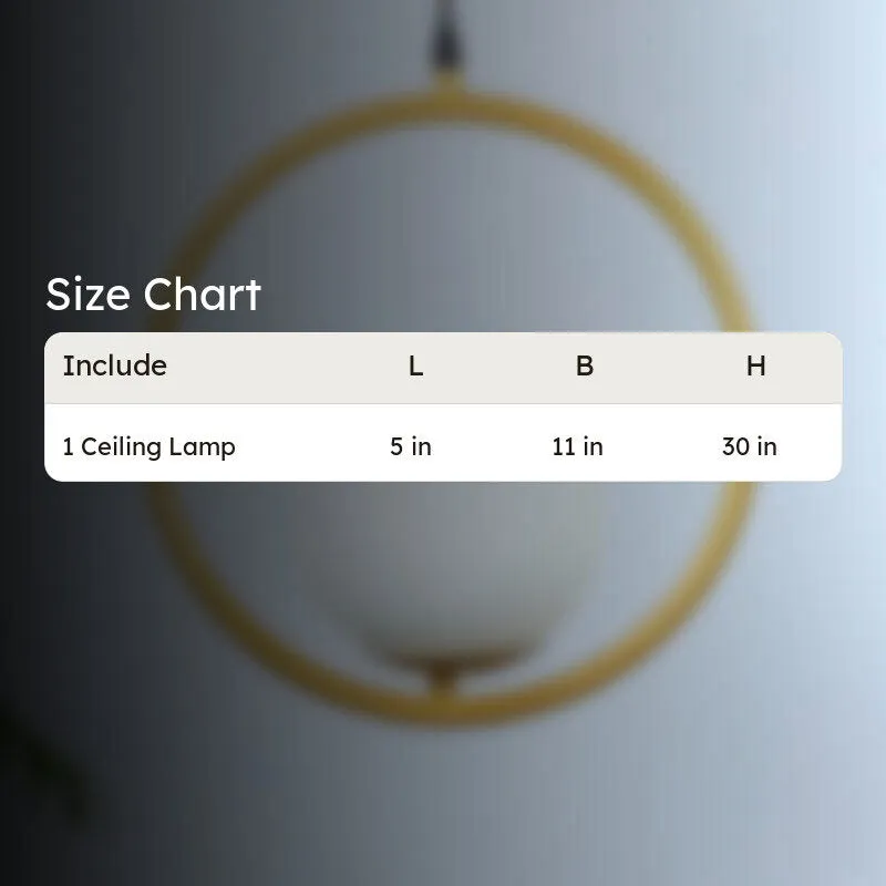 Pearl Loop Moon Iron Ceiling Lamp media 5