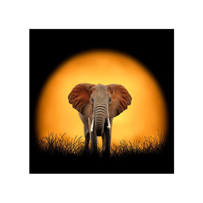 Elephant At Sunset Wall Painting media 5