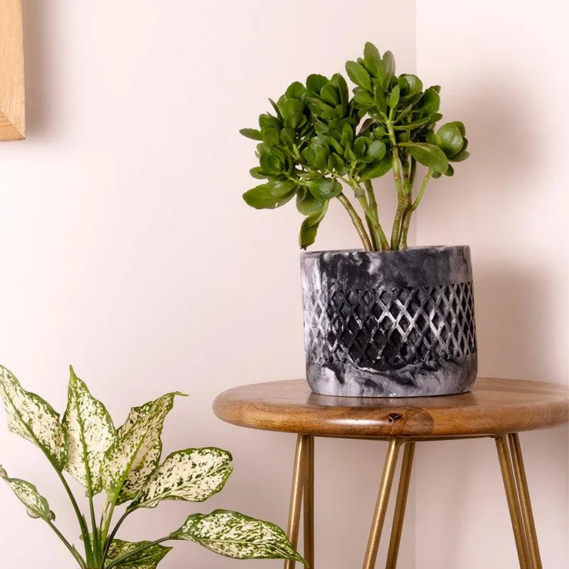 Diemona Blue Planter media 2