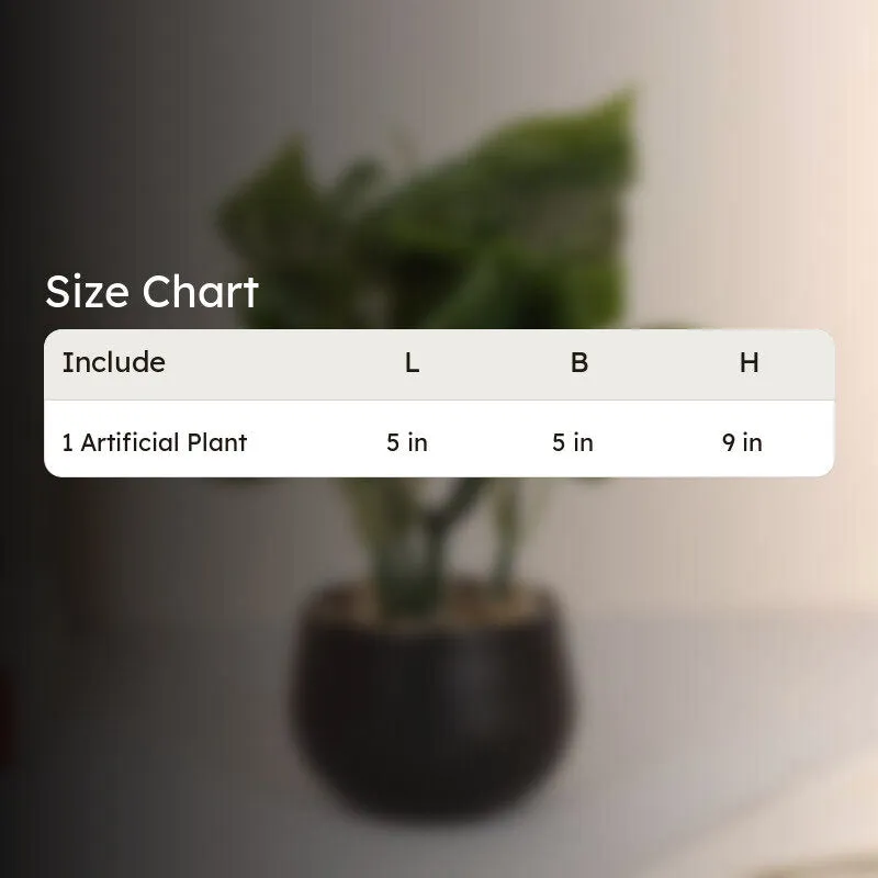 Feng Shui Artificial Money Plant With Pot media 7