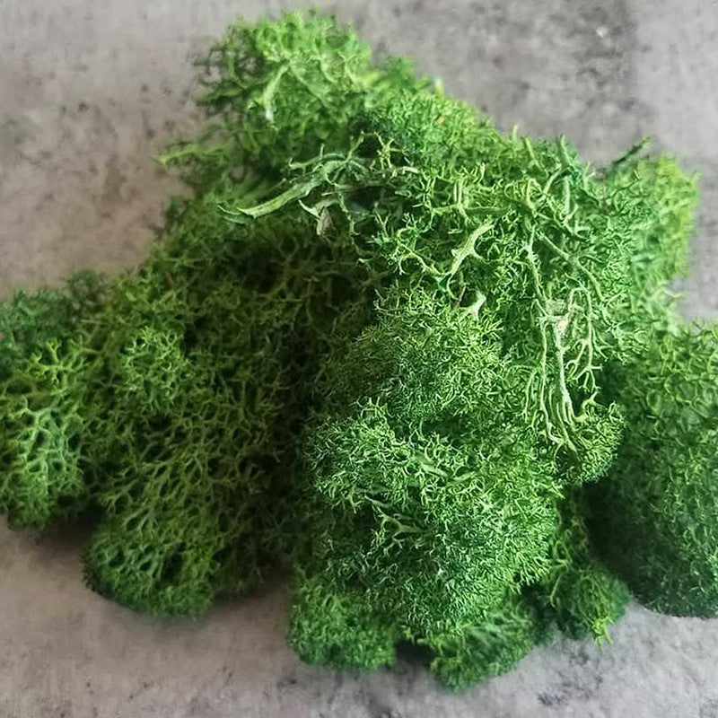 Vibrant Artificial Moss Bunch media 8
