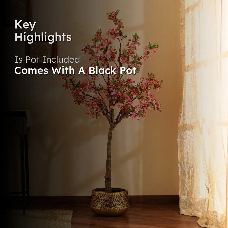Cherry Blossom Plant With Black Plastic Pot - 5 ft media 2