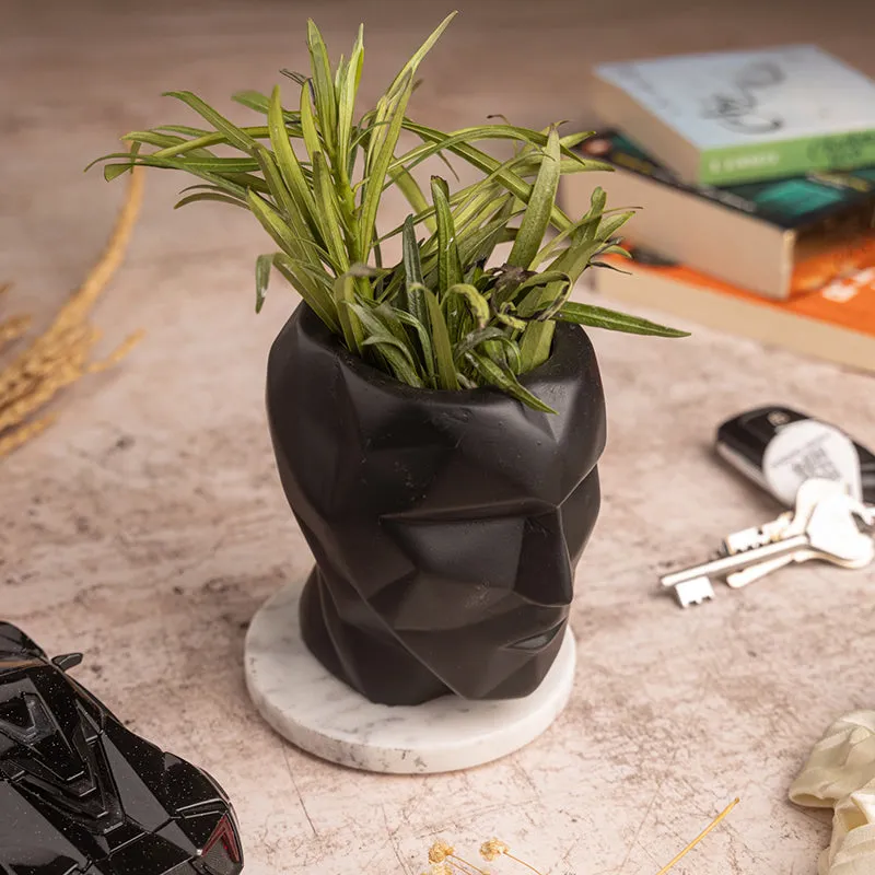 Visage Marble Planter media 2