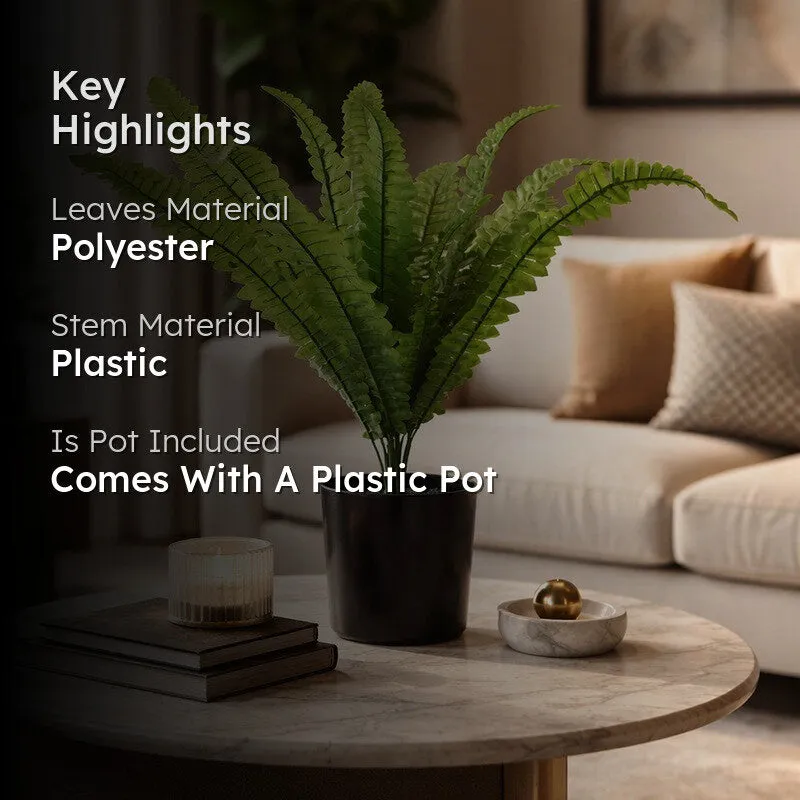 Fernex Artificial Plant With Plastic Pot - 1.5 Feet media 2